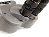 Picture of APM 120 mm 45° SD-APO Binocular with UF18mm