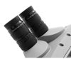 Picture of TS-Optics 30x100 Binoculars - 45° view, 1.25" eyepieces