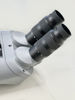 Picture of APM 82 mm 45° SD-Apo Binocular with Super Zoom Eyepieces