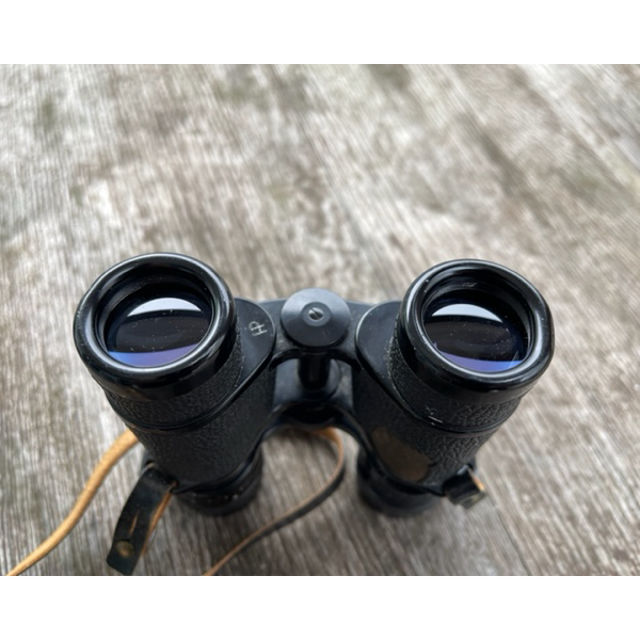 Picture of Leitz Amplivid 6 x 24 Binocular