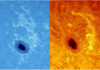 Bild von Altair 152mm TRIBAND D-ERF Solar Energie Schutzfilter (Hydrogen Alpha plus CaK CaH)
