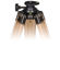 Picture of Berlebach Tripod Report 232