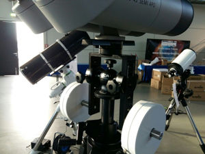 Bild von Berlebach Omega Kopf Spica