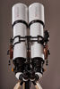 Picture of APM EMS SD-Apo Bino 140mm F/7 Telescope