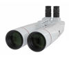 Picture of TS-Optics 30x100 Binoculars ED APO - 90° view, 1.25" eyepieces