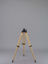 Picture of Berlebach Tripod Report 132/P