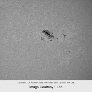 Picture of Antlia Solar Discover Dualband ERF filter 130 mm in cell