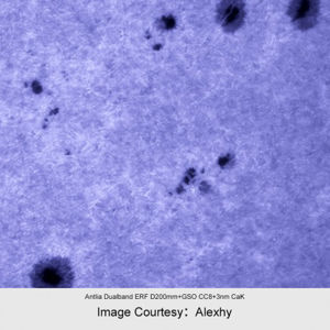 Picture of Antlia Solar Discover Dualband ERF filter 130 mm in cell