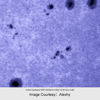 Picture of Antlia Solar Discover Dualband ERF filter 200 mm in cell